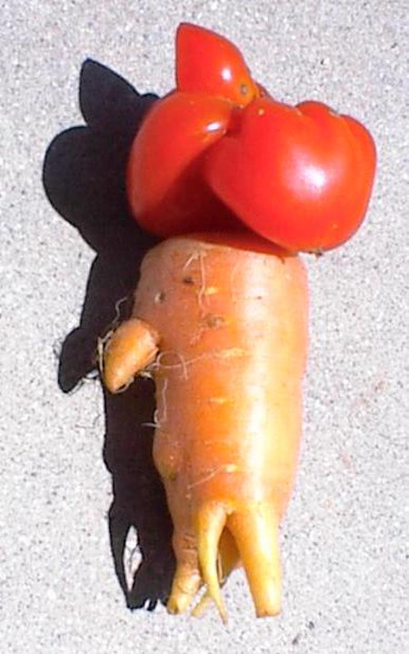 tomato hat and funny carrot